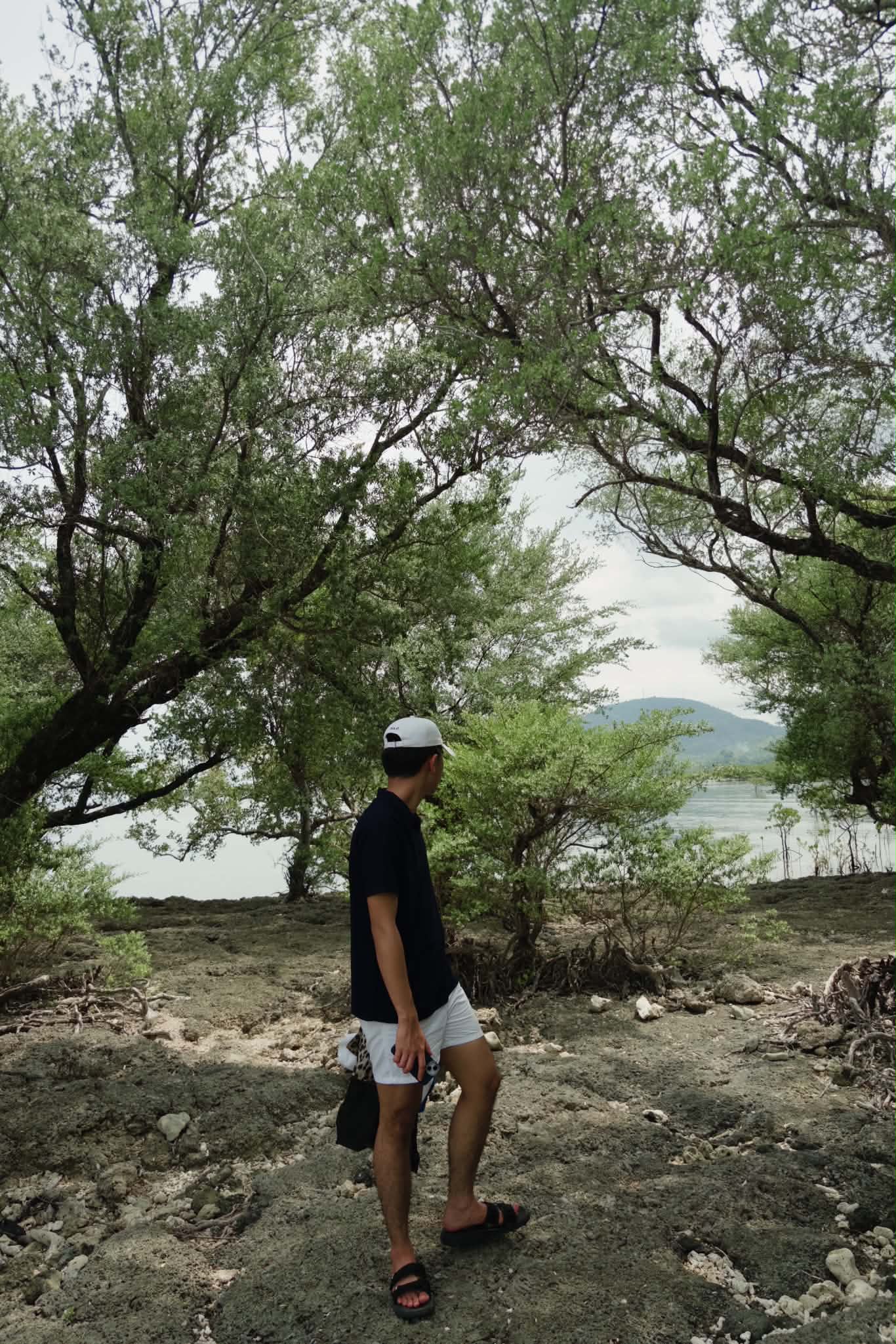 Exploring a lakeside landscape